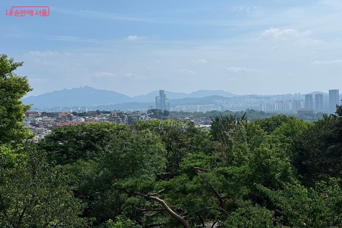 서울이 한눈에 보이는 숲길 전망대 ©임수영