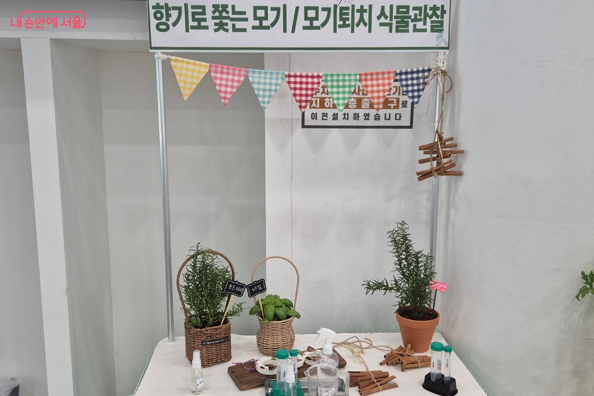 참가자들이 직접 만든 모기 퇴치 키트들