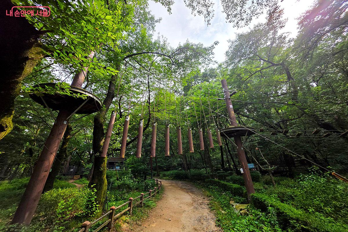 공중 밧줄 네트, 흔들다리 등 오싹한 코스로 여름 더위를 날리는 관악산모험숲 &copy;이정민