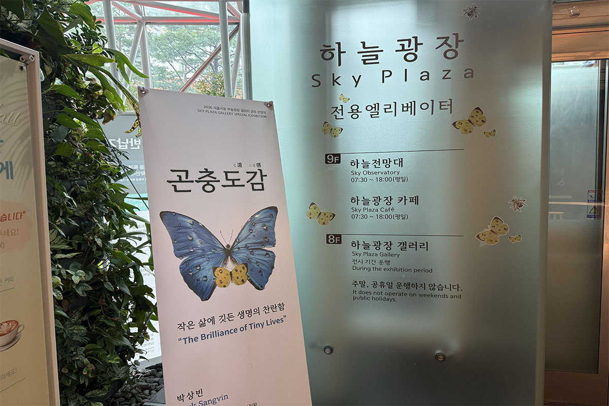 비 안 맞고 즐기는 실내 피서! 서울시청 &lsquo;서울갤러리-하늘광장-하늘전망대&rsquo; 코스