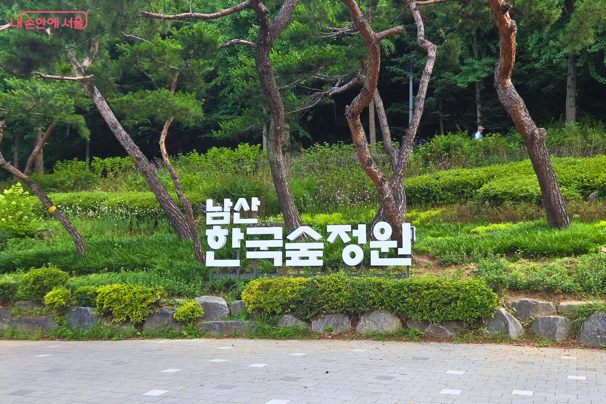 울창한 소나무 숲 앞에 흰색 입체 글씨로 만든 ‘남산 한국숲정원’ 표지가 설치돼 있다.