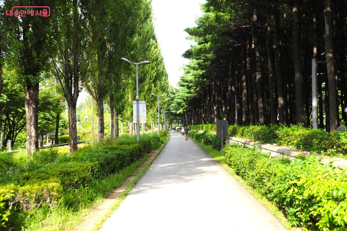 경춘철교를 건너 만나는 철로 변 산책로 풍경 ⓒ조수봉