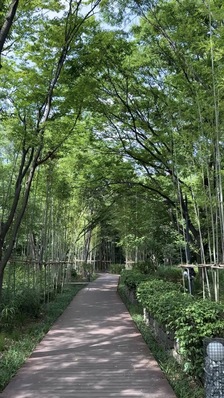 '쉼'이 필요한 당신에게&hellip;남산의 새로운 힐링명소 &lsquo;한국숲정원&rsquo;