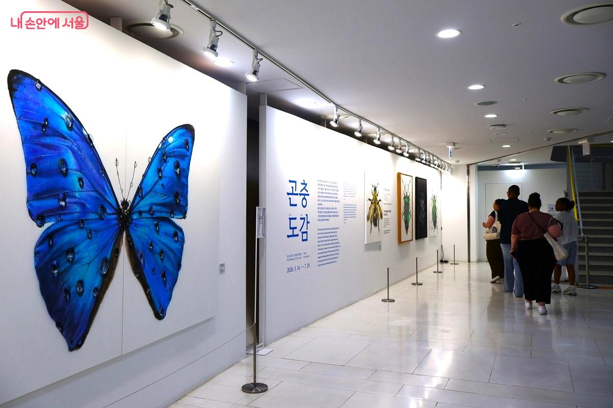 화려한 나비와 곤충 그림이 가득한 전시관 &copy;이봉덕