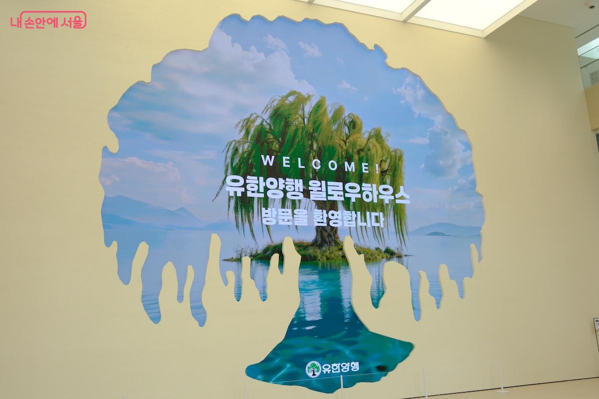 윌로우하우스의 '윌로우'는 유한양행을 상징하는 은행나무를 상징한다고 한다.