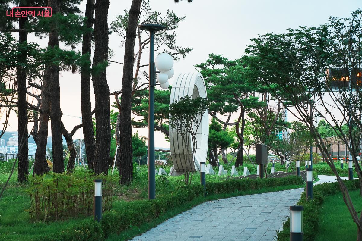 소나무 숲길 끝에 놓인 흰색 링 모양 조형물과 산책로
