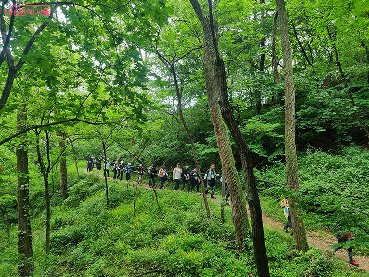 19코스 북한산 성북코스 &ndash; 북한산 숲&middot;계곡
