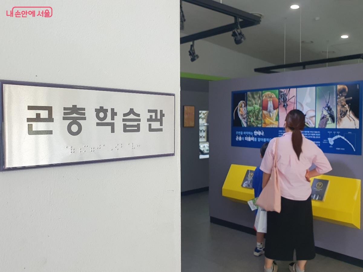 불암산 나비정원 '곤충학습관' ©김병규