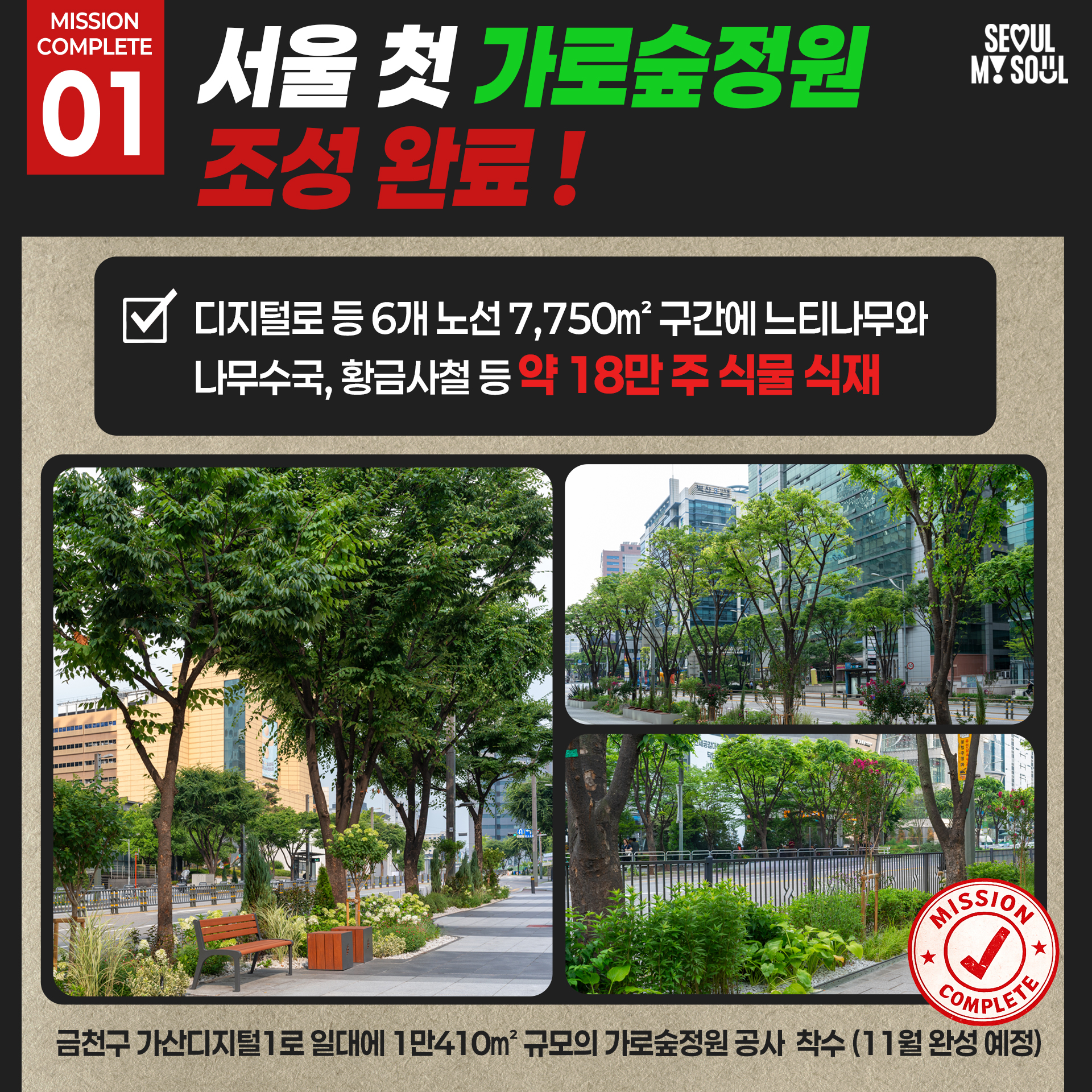 서울 첫 가로숲정원 조성 완료!
디지털로 등 6개 노선 7,750m2 구간에 느티나무와 나무수국, 황금사철 등 약 18만 주 식물 식재

금천구 가산디지털1로 일대에 1만410m2 규모의 가로숲정원 공사 착수 (11월 완성 예정)