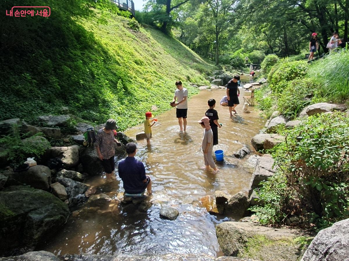 주말 불암산 힐링타운 계곡 풍경 ©김병규