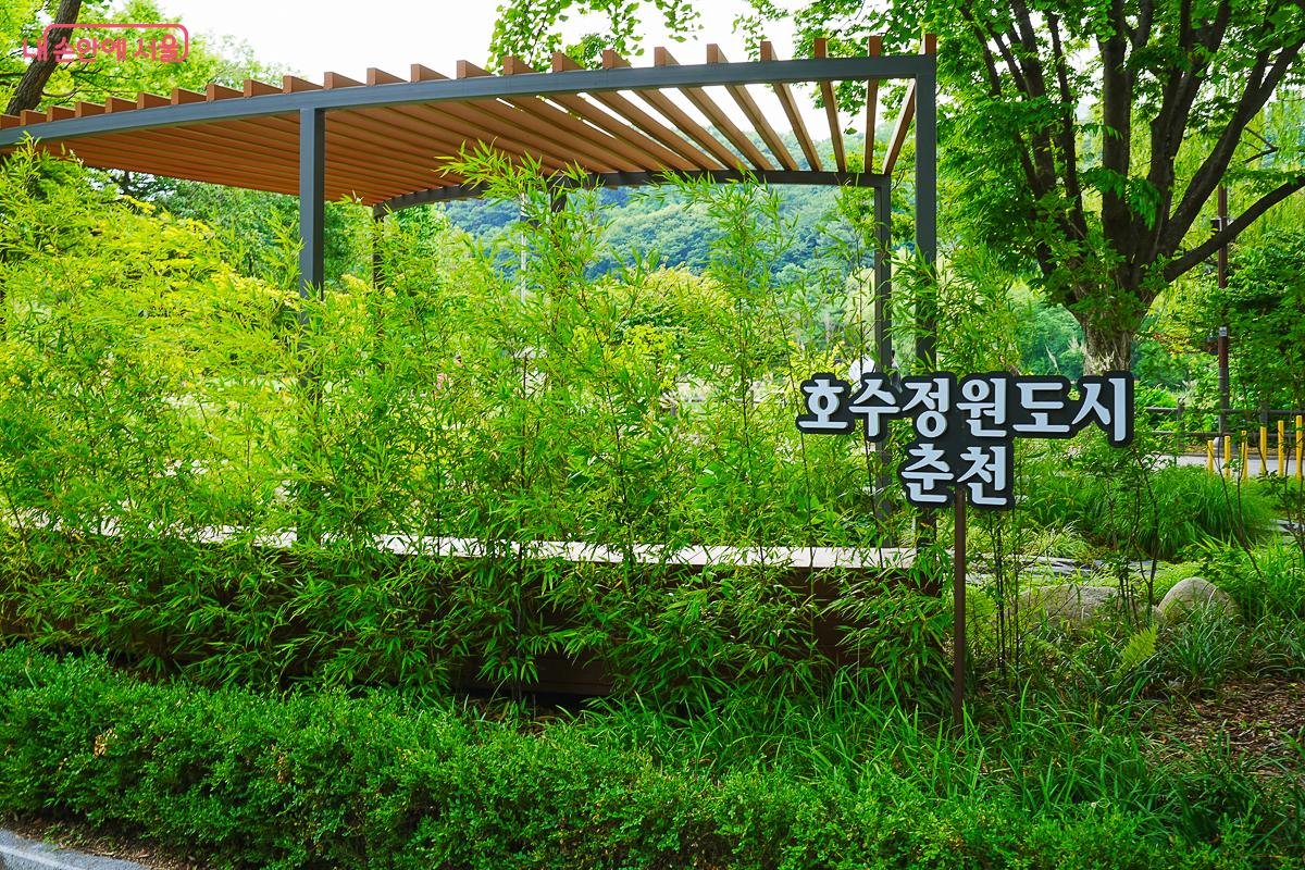 대나무 사이 정자에 놓인 '호수정원도시 춘천' 안내판