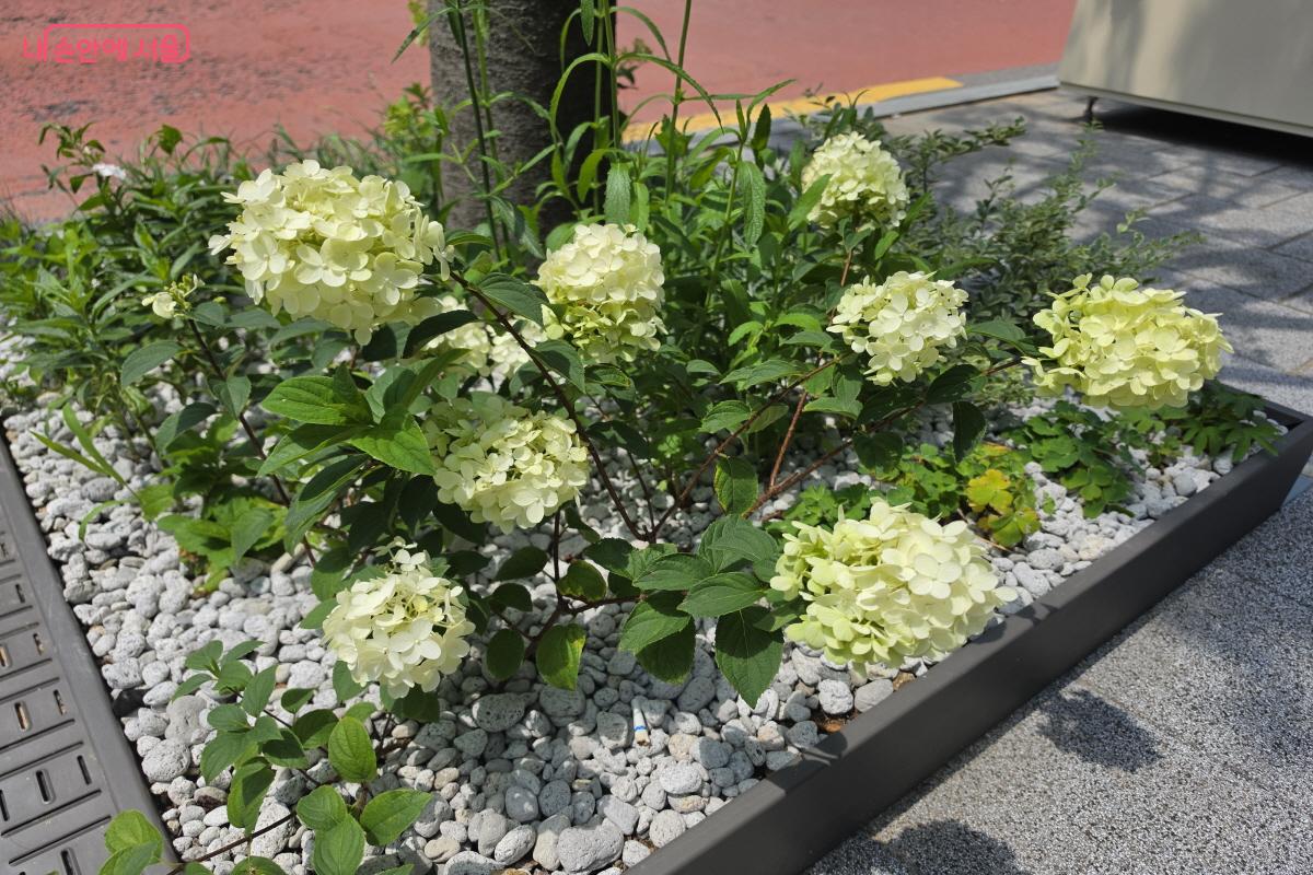 플랜터형 정원 &copy;조송연