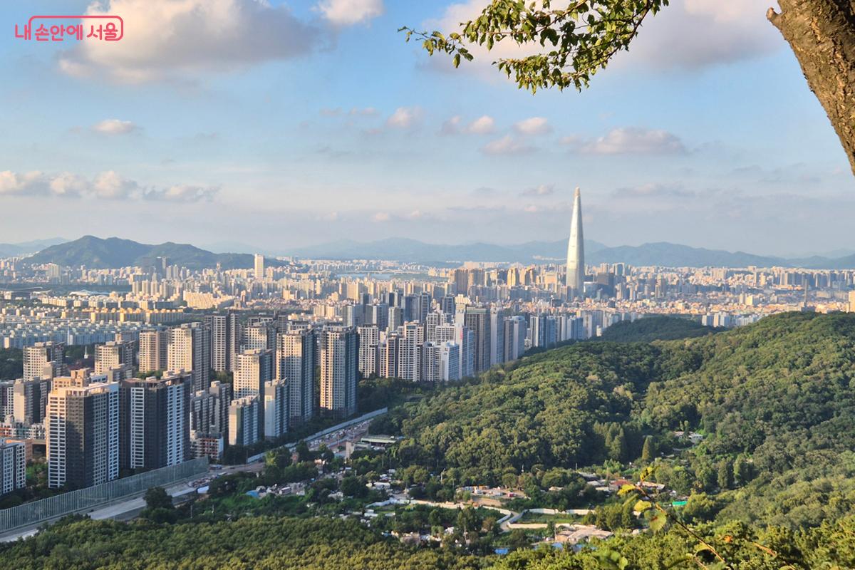 멀리 구름 아래 롯데타워도 보인다. &copy;정향선