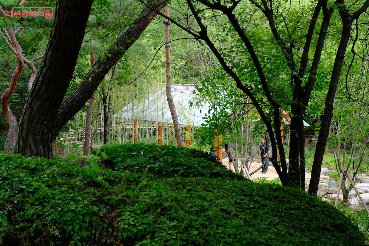 기존 남산야외식물원 주차장을 이용하면 편리하며 주차장 기준으로 동서 구간으로 나뉘어져 있다.