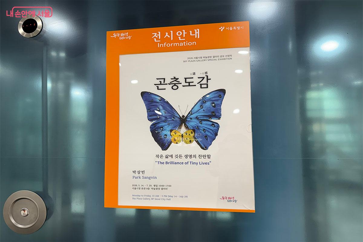  7월 29일까지 하늘광장 갤러리에서는 '곤충도감' 전시가 진행된다. &copy;송수아
