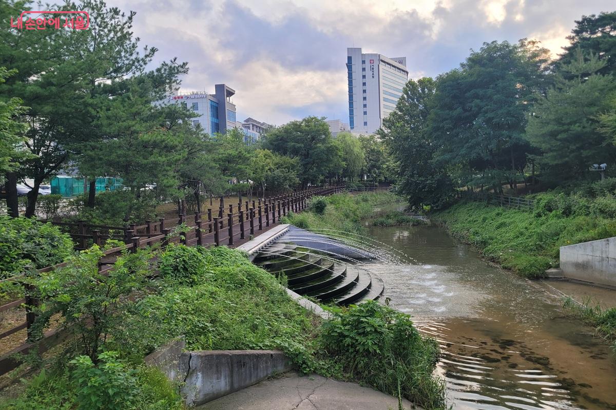 묵동천을 따라 이어지는 산책길에서는 물소리와 숲이 어우러진다. ⓒ 조연
