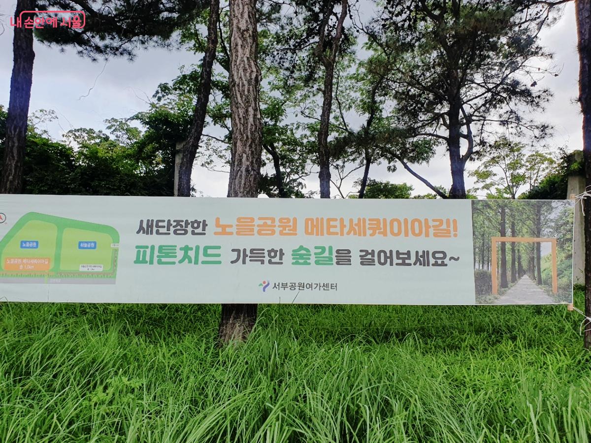 물놀이와 산책코스로 연계해 보기 좋은 새단장한 노을공원 메타세쿼이아길 &copy;엄윤주