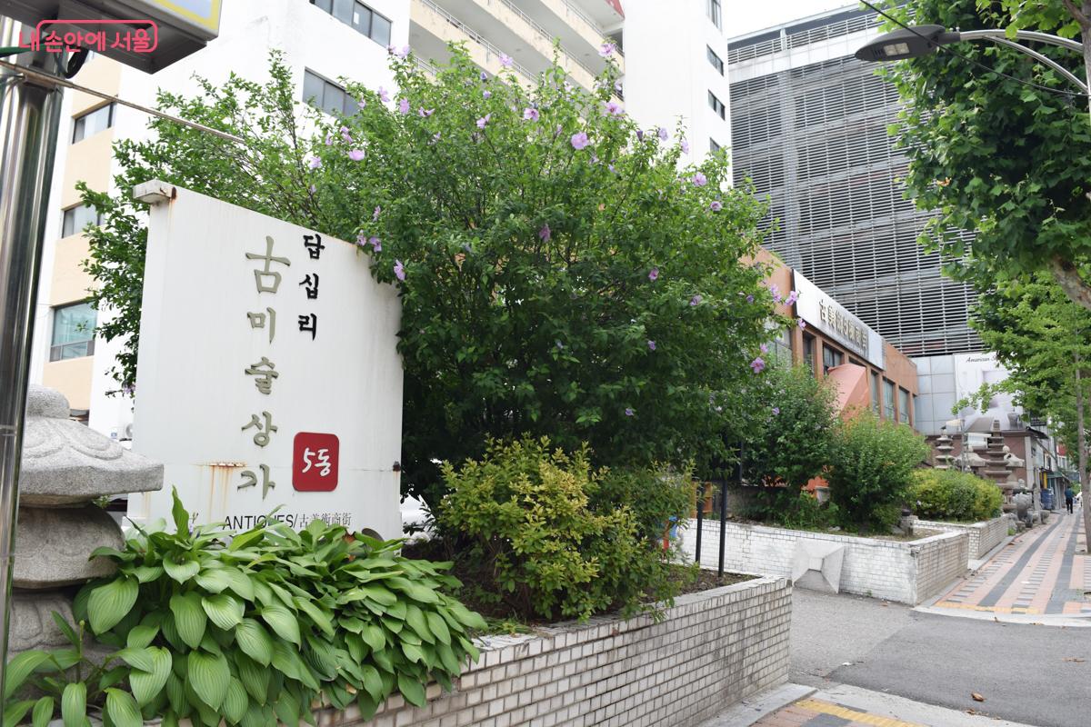 화단에 세워져 있는 답십리 고미술상가 5동 표지판