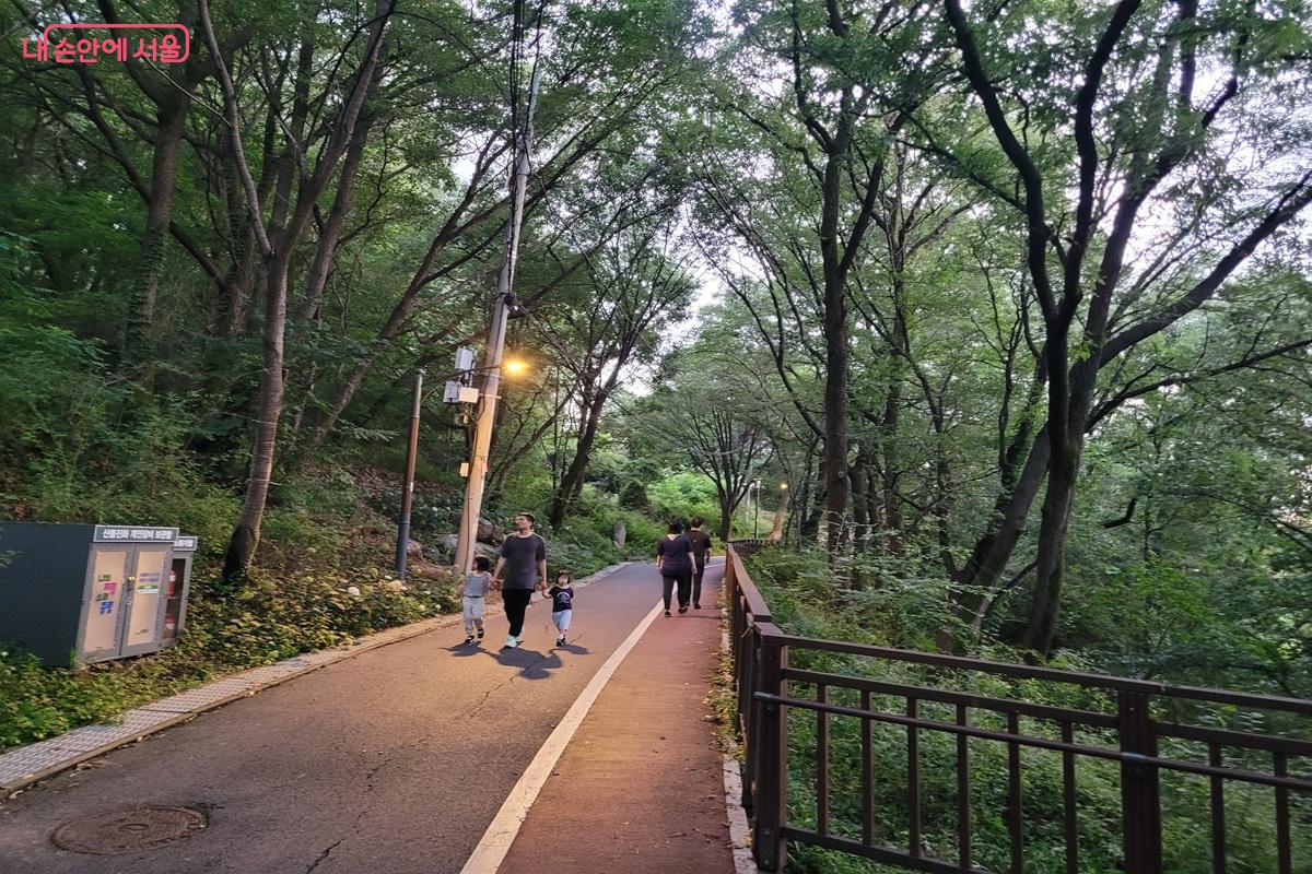 해가 기울며 망우역사문화공원으로 이어지는 서울둘레길 숲길에 조명이 하나둘 켜지고 있다. ⓒ 조연