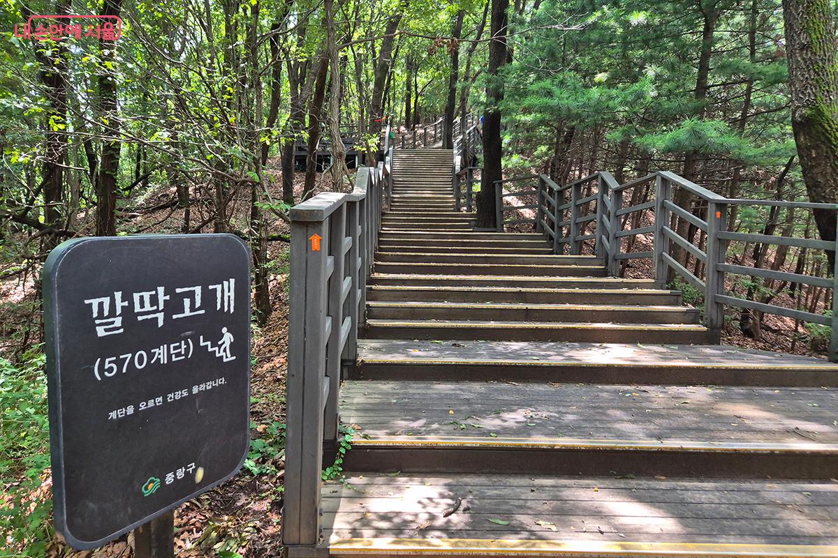 깔딱고개 570계단을 오르면 완만한 산책로가 이어진다.