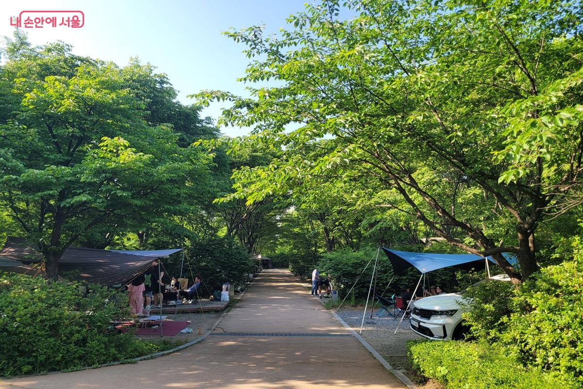 중랑캠핑숲 숲길 양옆으로 캠핑 사이트가 조성돼 있어 도심에서도 캠핑을 즐길 수 있다. ⓒ 조연