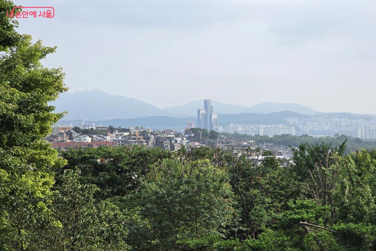 남산마루에서 바라본 서울의 도심.