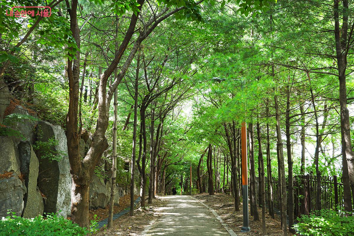 시원한 나무 그늘 아래 산책도 즐겨보자! ©김주연