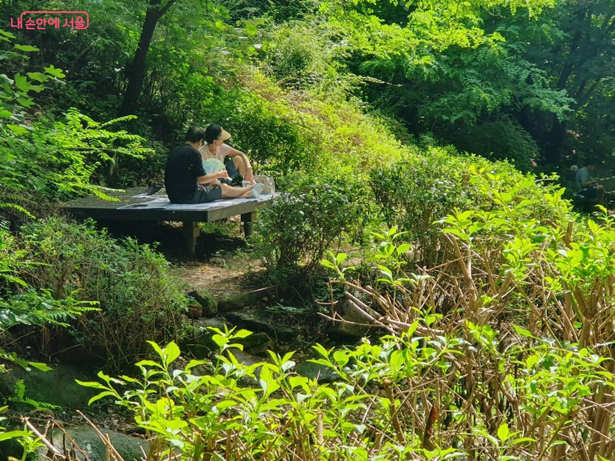 계곡 주변 이용 가능한 평상에서 시원한 숲그늘을 즐기기 좋다. ©김병규