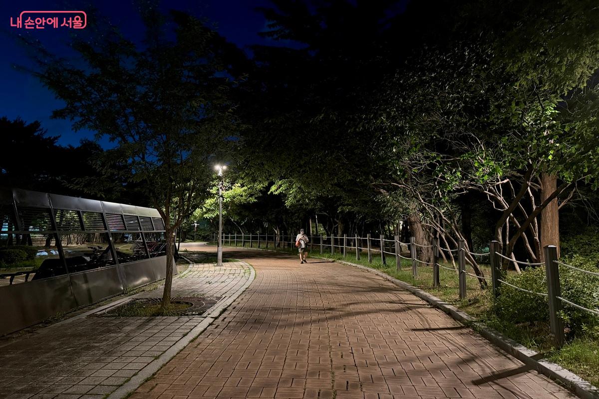 카페 주변으로 걷기 좋은 안전한 산책로 ©임수영
