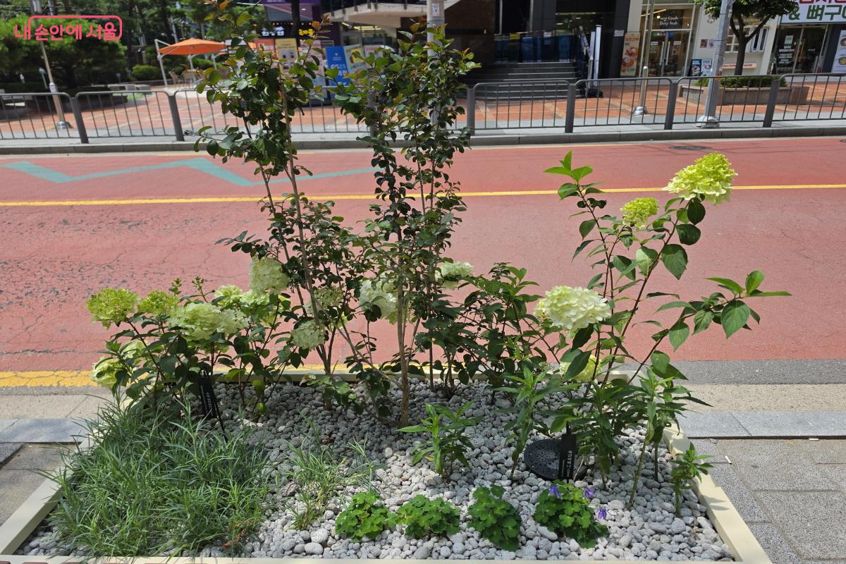 다양한 꽃과 식물을 식재했다. &copy;조송연