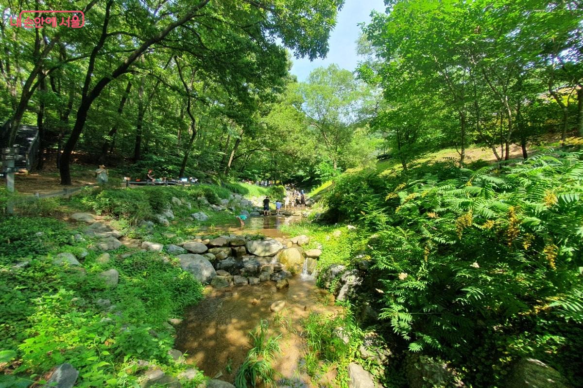 여름 피서지 '불암산 힐링타운' 계곡 전경 ©김병규