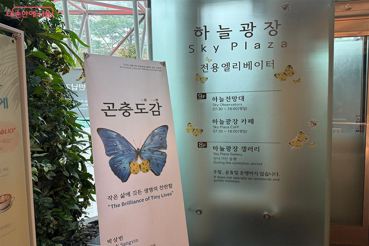 서울시청 1층에는 하늘광장으로 바로 올라갈 수 있는 전용 엘리베이터가 있다. ©송수아