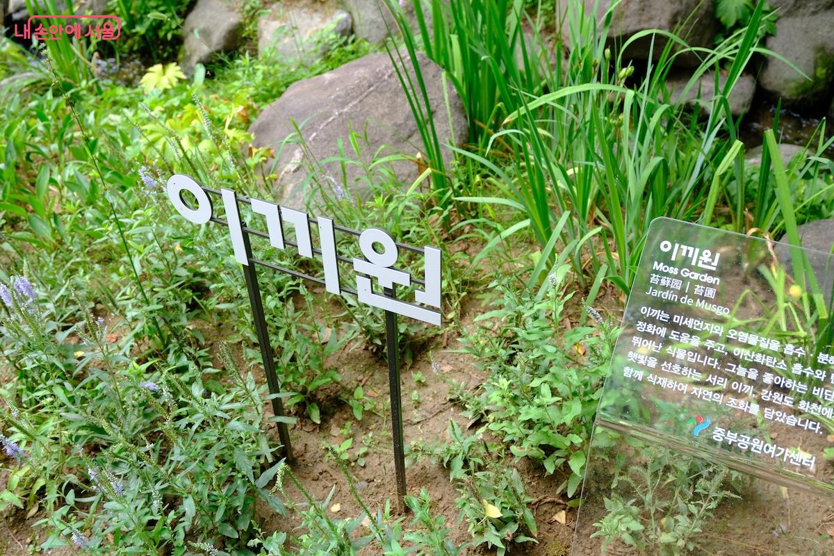 가장 인상 깊었던 공간은 멋진 수경시설과 고즈넉함이 가득한 이끼원이었다.