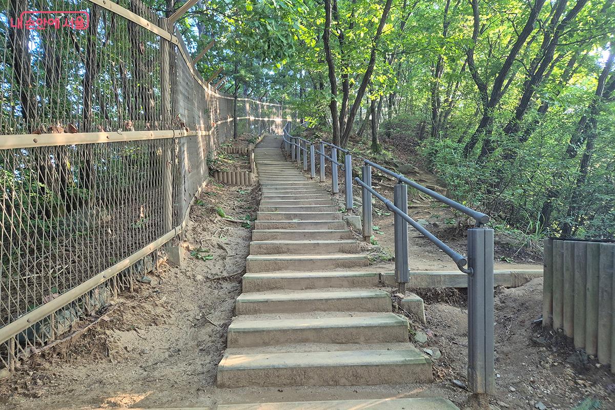 구룡산 정상으로 향하는 고갯길 ©정향선