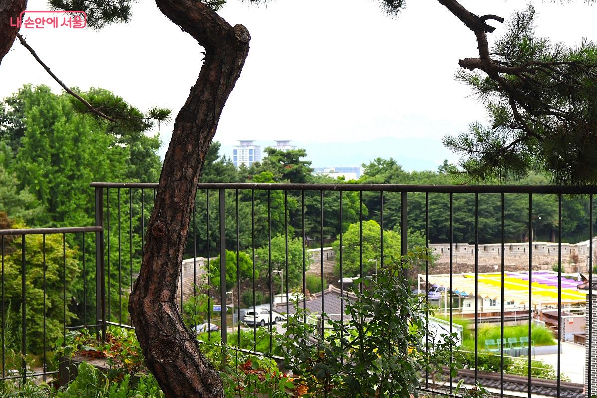 한양도성길 아래 자리한 다산성곽도서관과 야외공연장, 공유서가 &copy;김대진