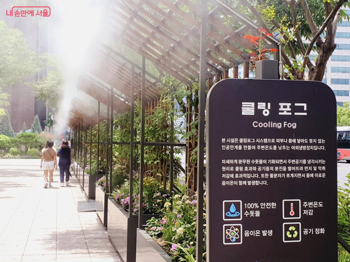 한 낮의 열기를 식히는 서울광장 바닥분수 인근 쿨링포그 시설 &copy;엄윤주