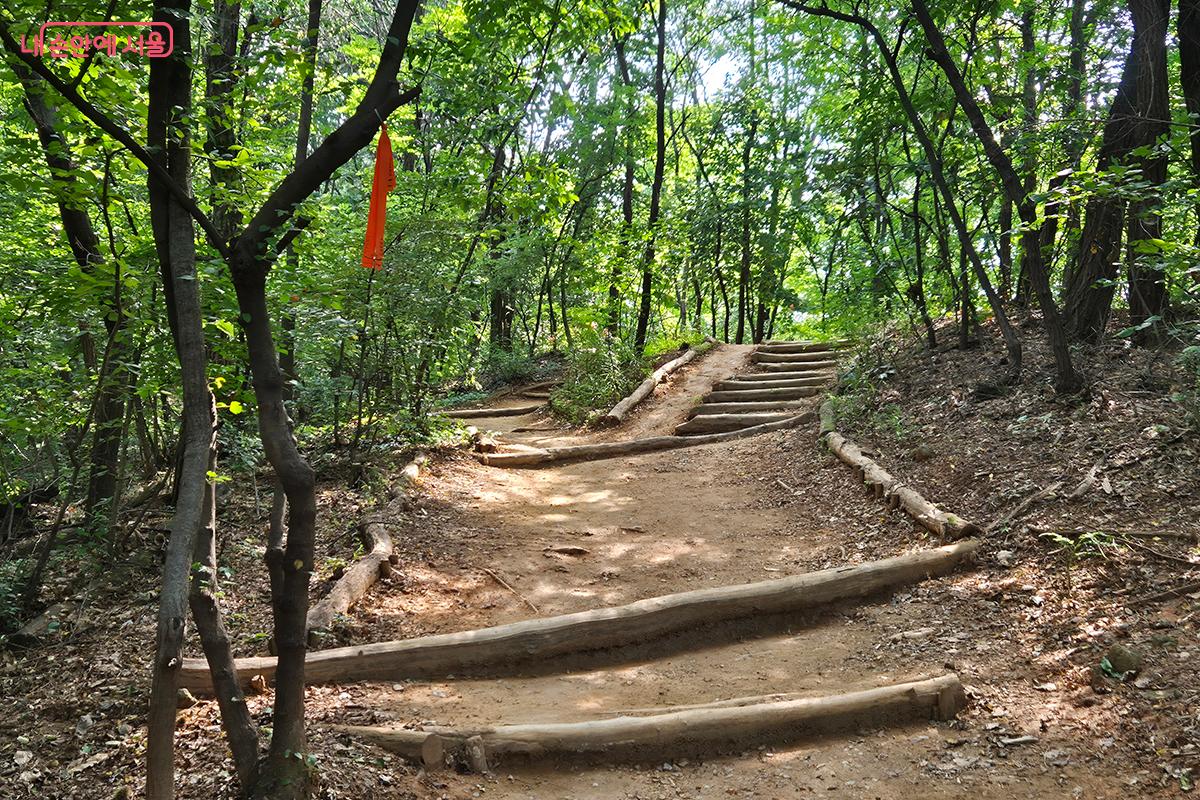 산책길의 지루함을 덜어주는 다양한 모습의 통나무길 ©정향선