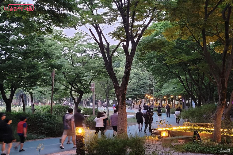 시민들이 공원 내 산책로를 걷고 있다. 사진은 보라매공원.