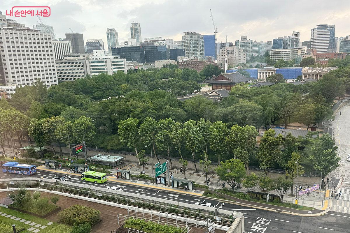 하늘전망대에서 내려다본 비 오는 날 덕수궁의 모습 &copy;송수아