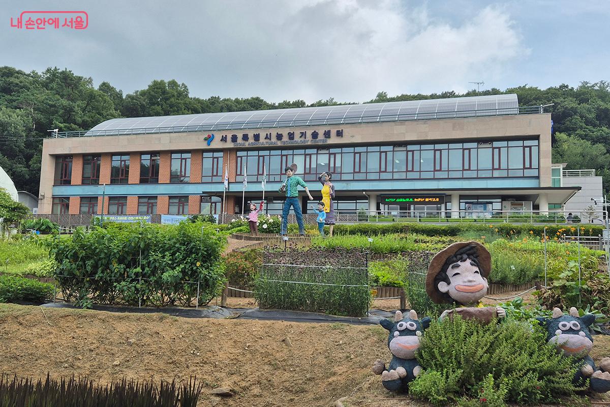 도심 속 어린이들에게 잊지 못할 여름방학의 초록빛 추억을 선사해 주었다. &copy;정향선