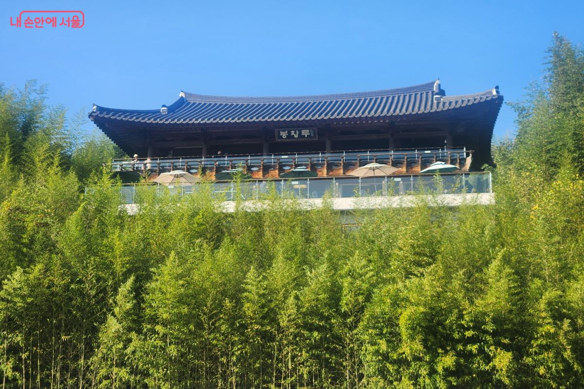 담양 죽녹원 전경.