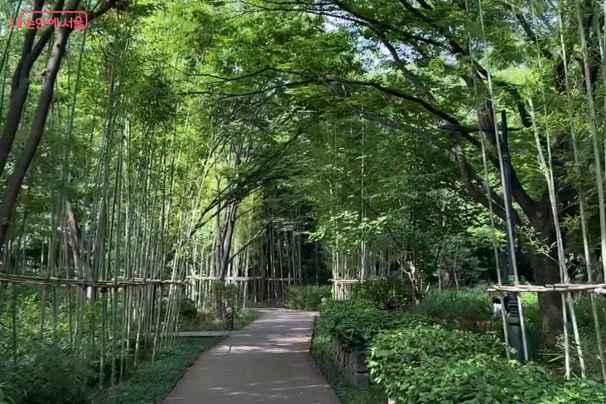 전남 광주 담양 죽녹원을 모티브로 한 '죽림원' ©임수영