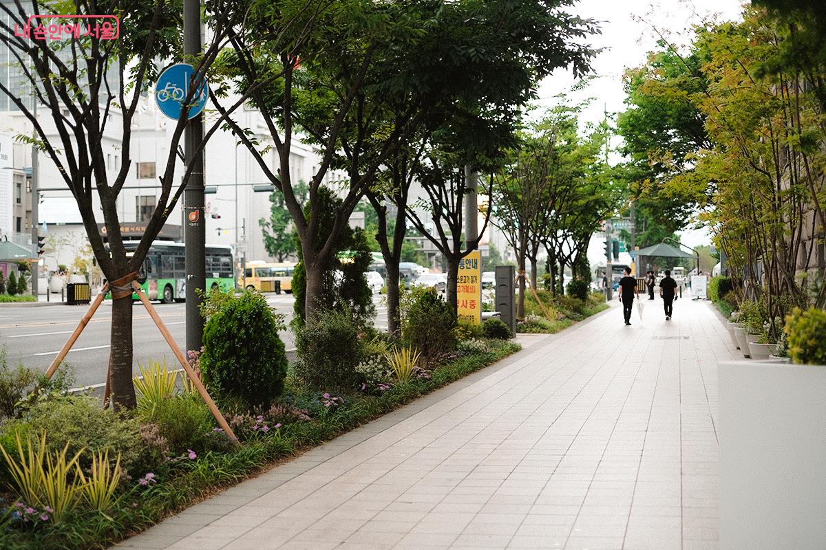 도로·보행로를 따라 길처럼 이어지는 선형정원 덕분에 도심을 걷는 일이 즐겁다. ©김아름