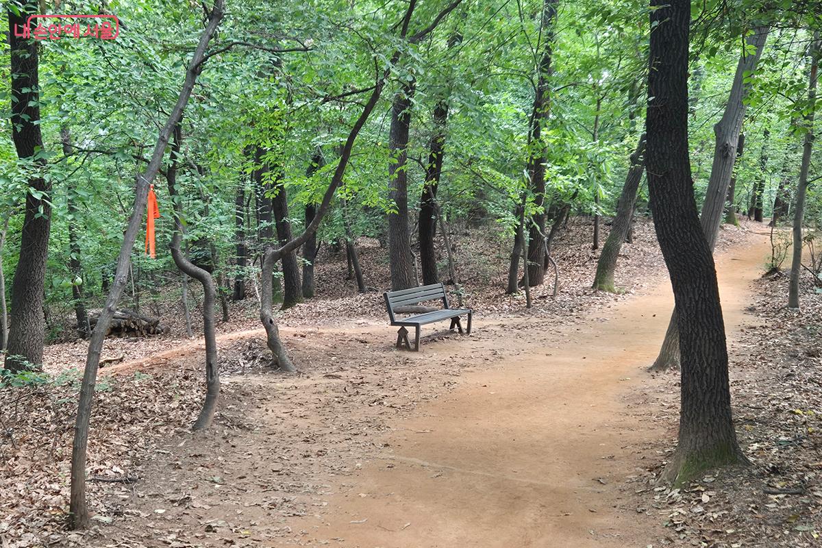 대모산으로 이어지는 길은 완만한 산책로로 이루어져 있다. ©정향선