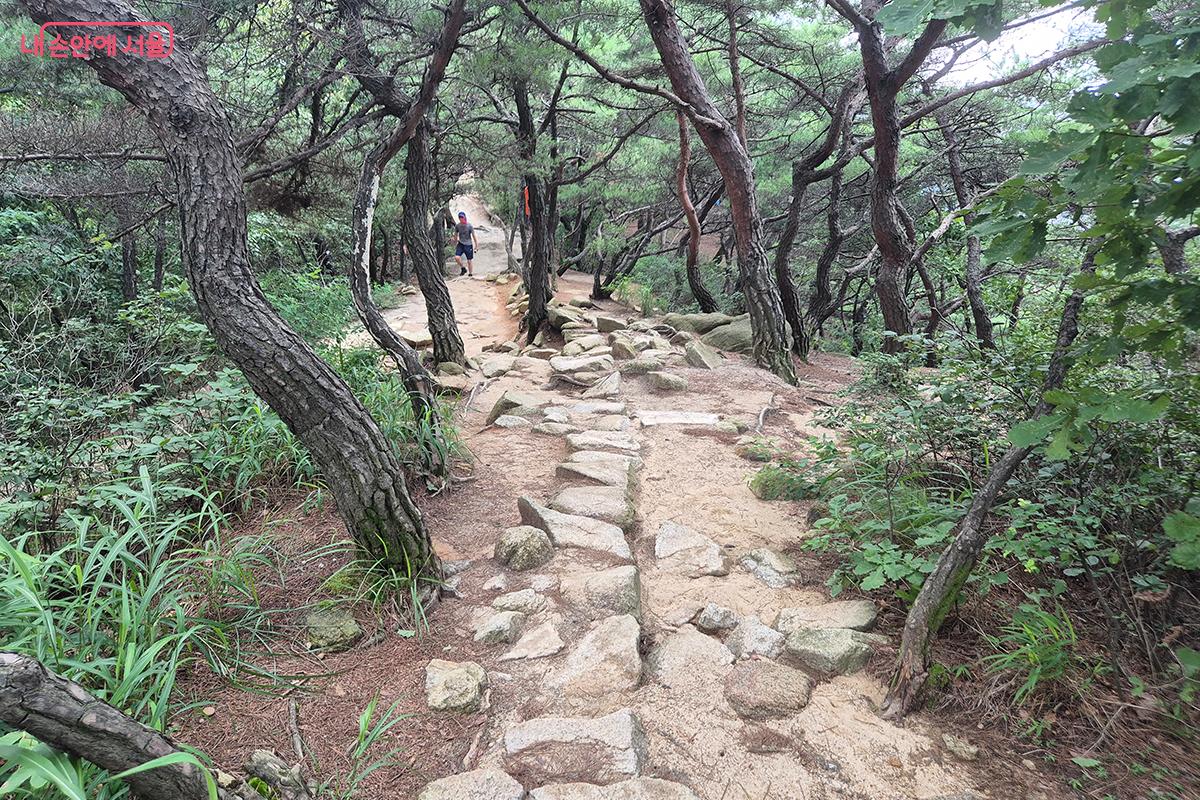 아차산길은 자연 소재인 돌을 이용한 바위길 같이 다양한 등산로가 있어 지루하지 않다.