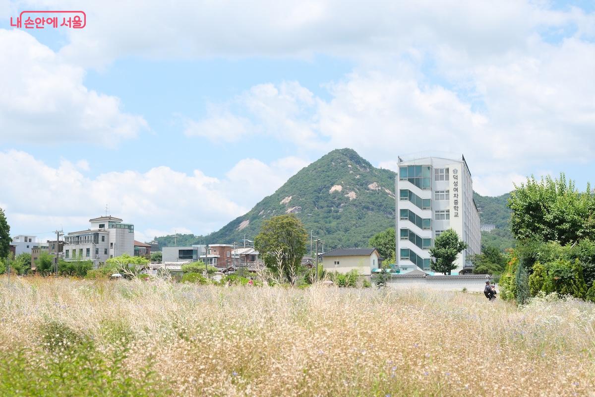 재개장한 서울동행상회와 함께 들려보기 좋은 곳이다. &copy;서지희