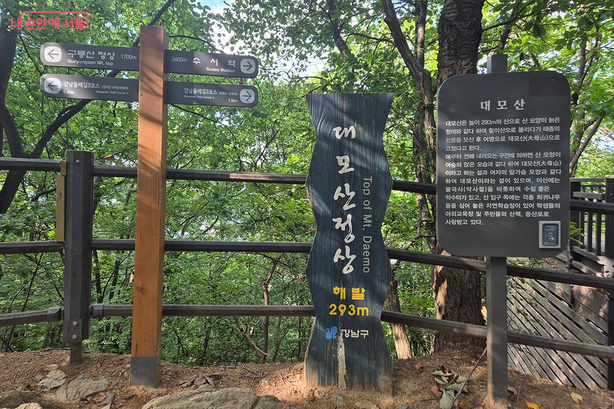 대모산 정상에서 휴식을 취하며 한여름 속 청량한 감성을 느껴본다. &copy;정향선