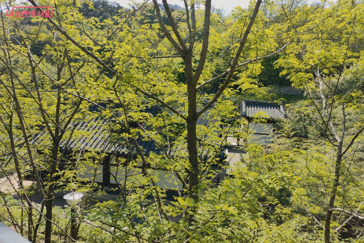 청운문학도서관은 도심 한가운데서 여유와 쉼을 느낄 수 있는 곳이다. &copy;김은주