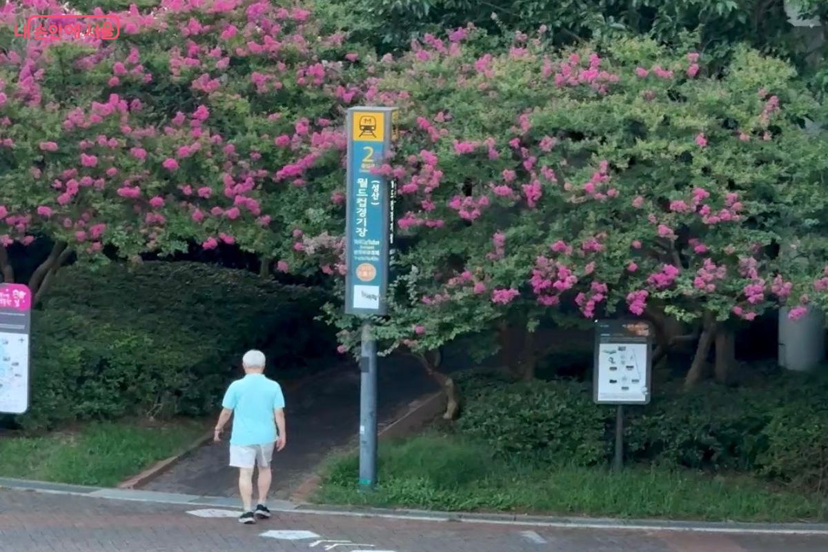 월드컵경기장역 도보 1분 거리에 있는 월드컵천 수변 카페 ©임수영