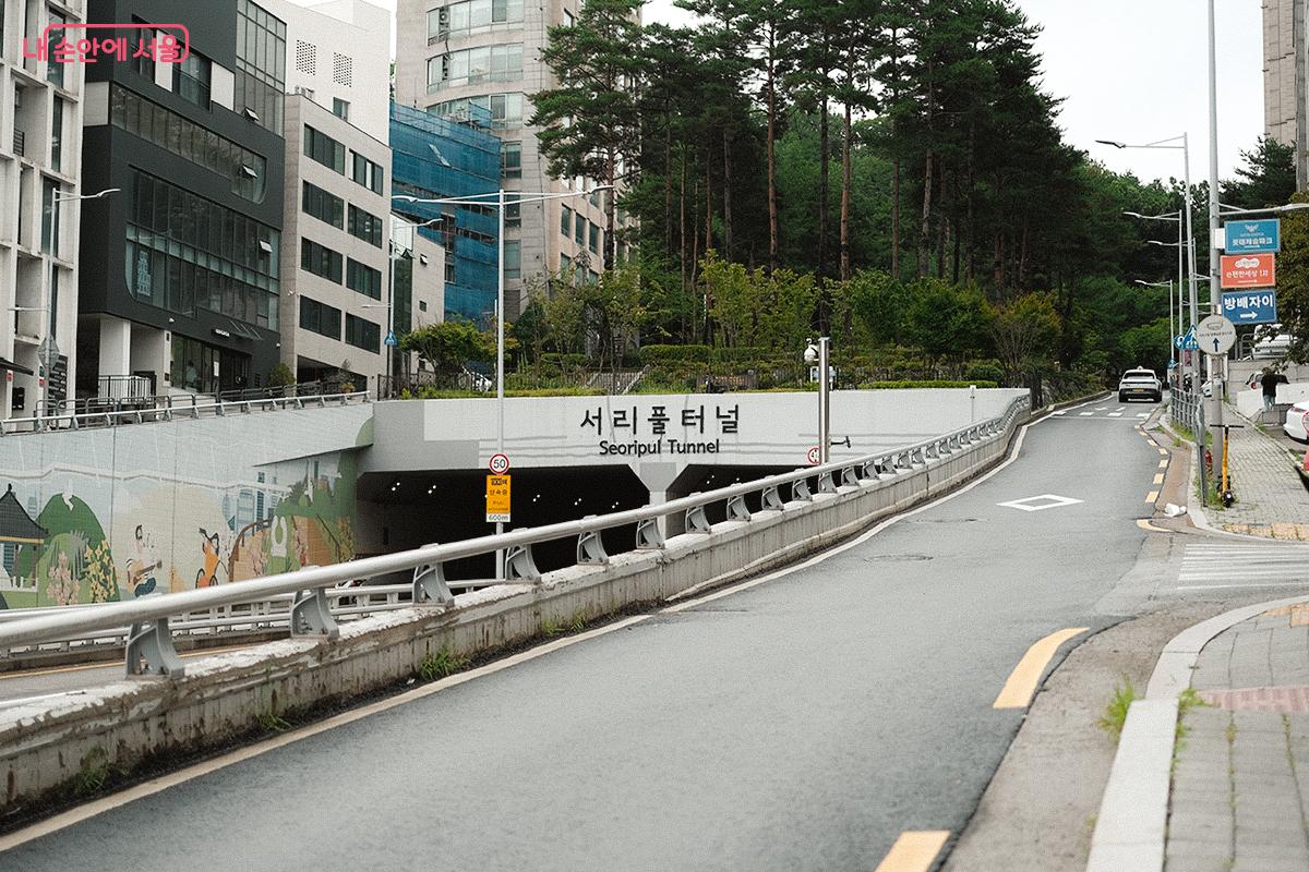 방배숲환경도서관은 지하철 7호선 내방역 8번 출구로 나와 언덕길을 쭉 따라 올라가면 나오는 서리풀공원 끝자락에 숨어있다. 만약 도로 우측 보도로 걷고 있다면, 서리풀터널 상부를 통해 좌측 보도로 건너가야 도서관 가는 길과 이어진다. ©김아름